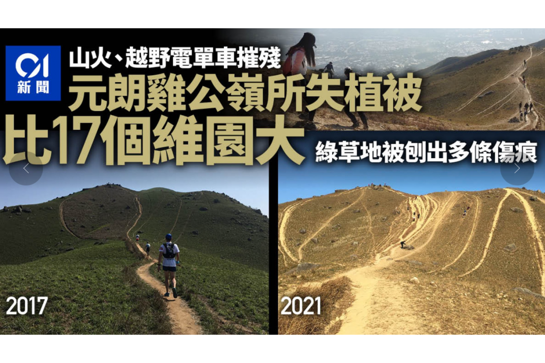 螢幕擷取畫面_2024-10-14_195440