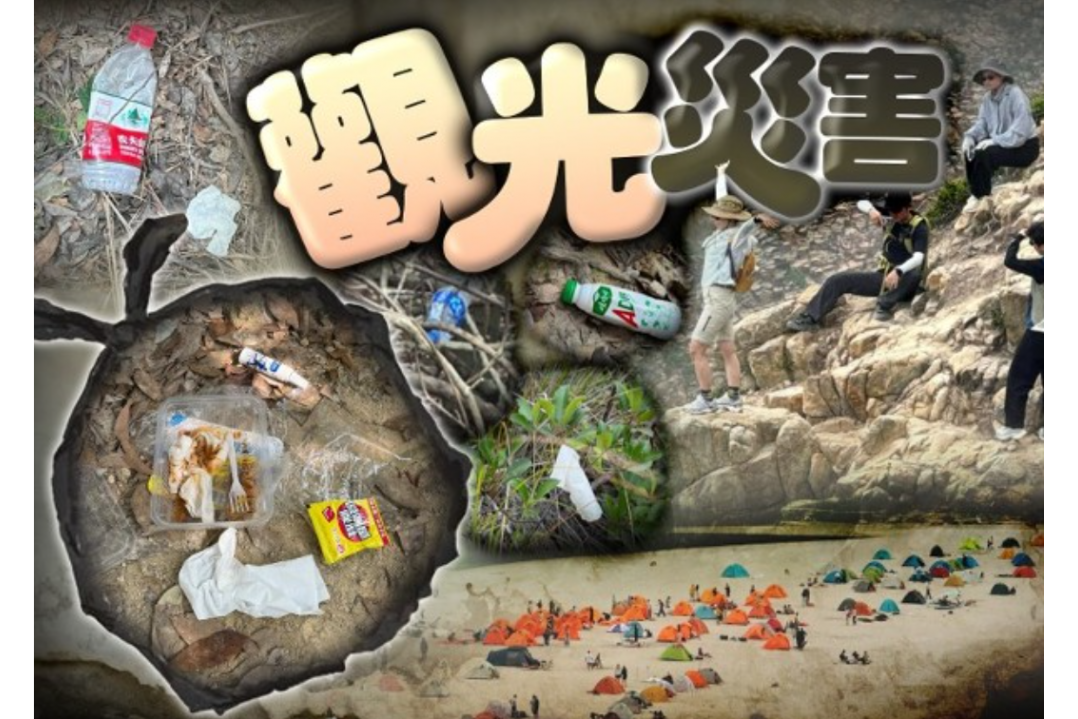 螢幕擷取畫面_2025-07-15_111630