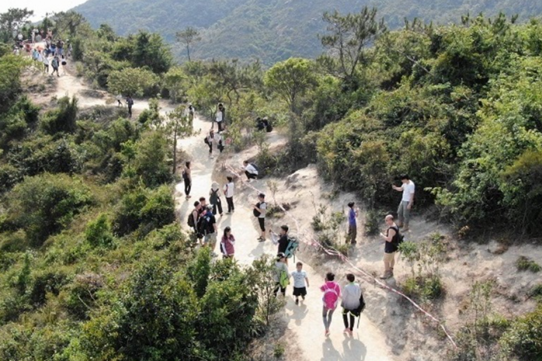 螢幕擷取畫面_2024-10-14_200434