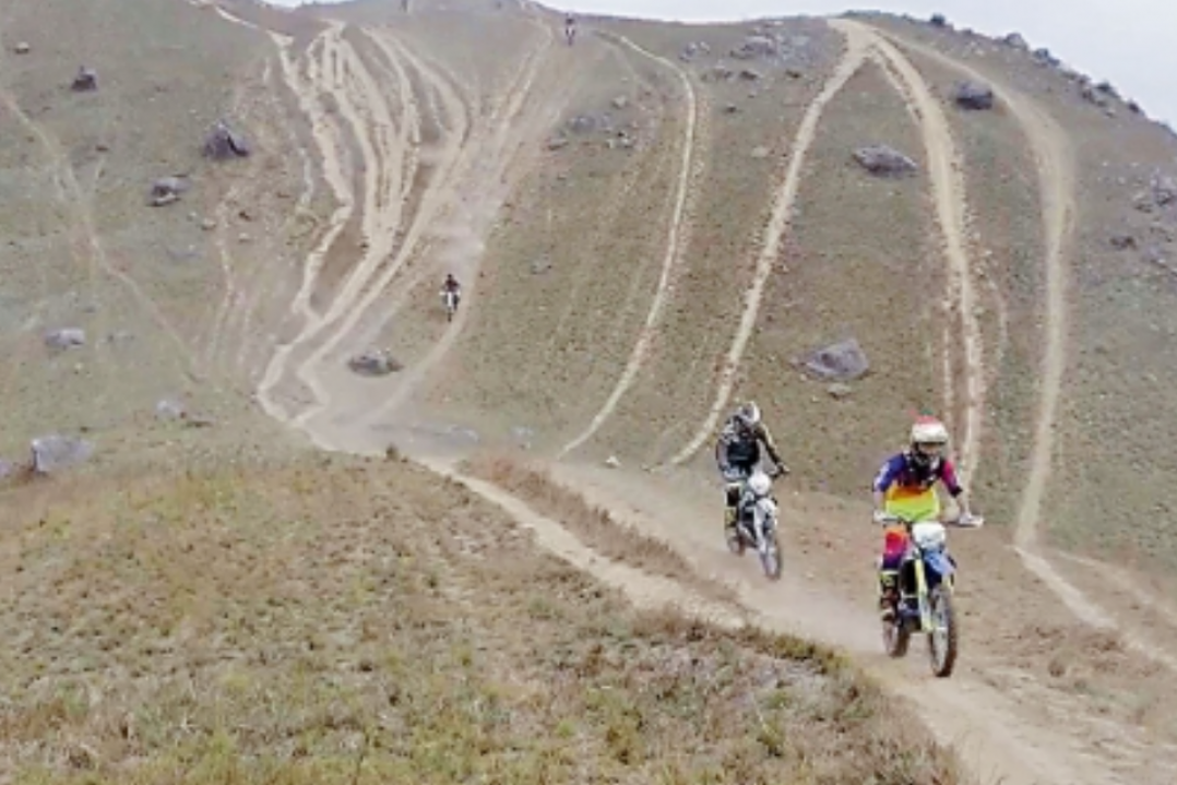 螢幕擷取畫面_2024-10-14_195319