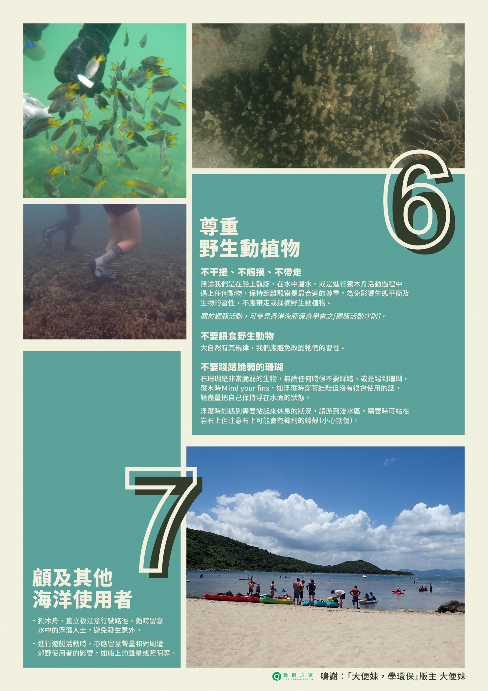 本頁圖片/檔案 - The_Green_Earth_無痕山林_-_infographic_Chi_250529-13