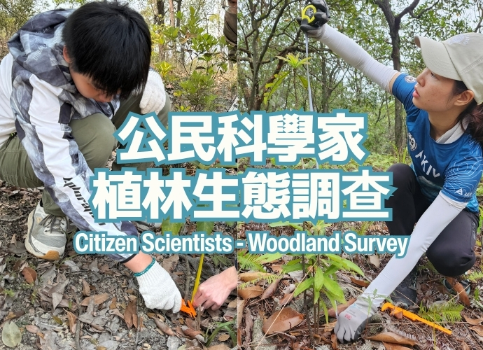 公民科學家- 植林生態調查