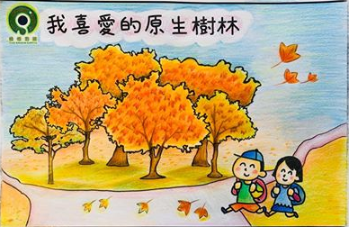 許樂媛 | 最喜愛的原生樹種: 楓香